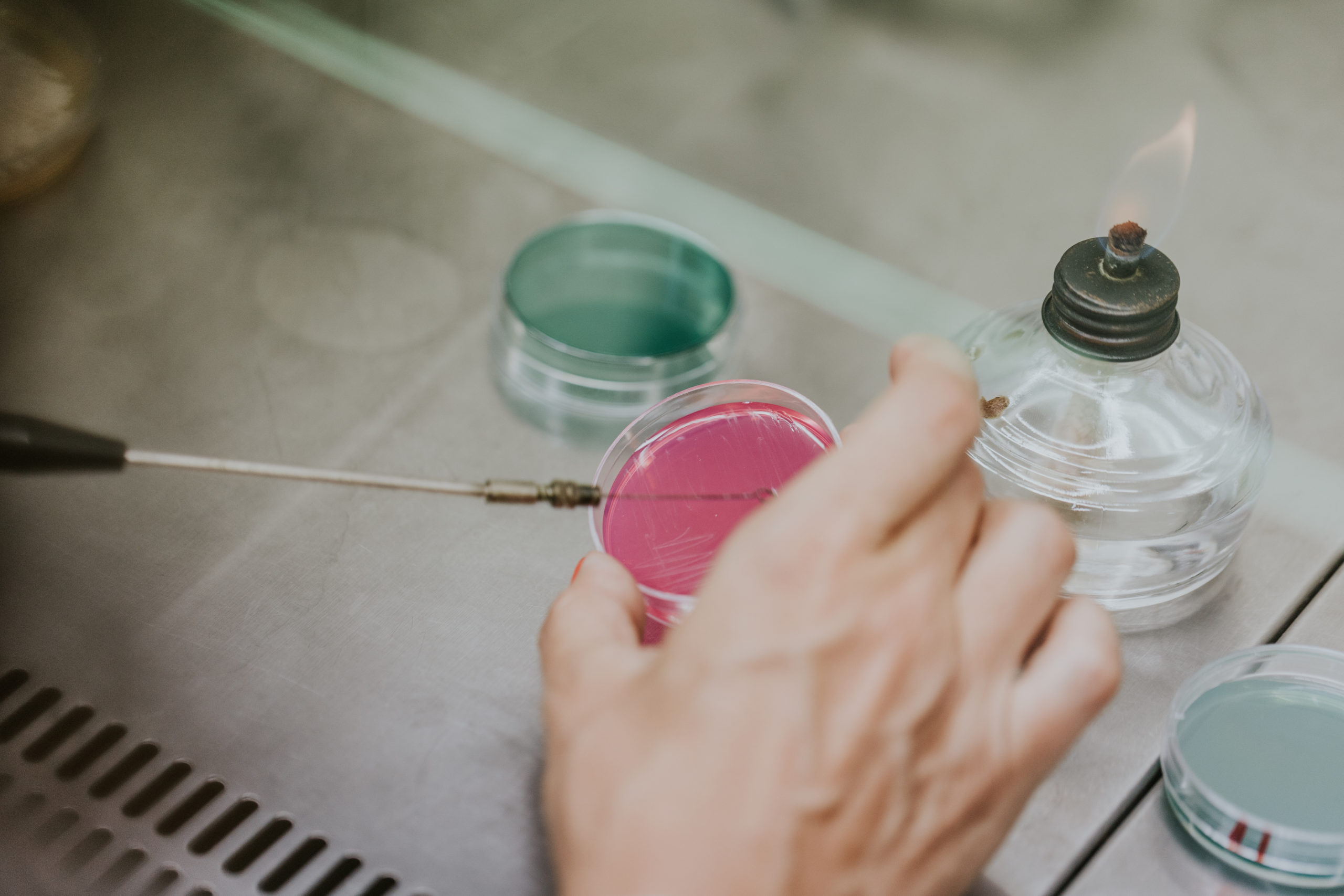 Laboratorio agroalimentario
