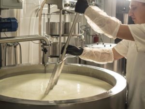 Producción de crema de levadura para la fermentación alcohólica