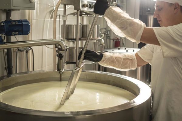 Producción de crema de levadura para la fermentación alcohólica