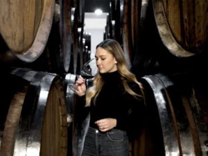 Servicio de identificación y resolución de problemas en bodega
