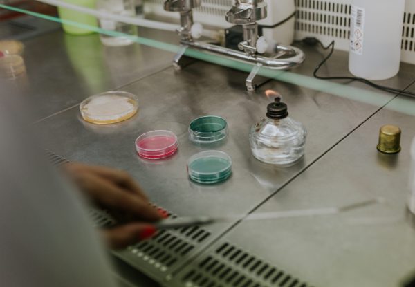 Laboratorio agroalimentario